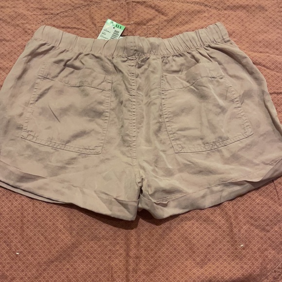 Shorts - Picture 5 of 5